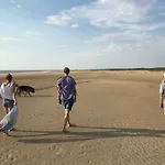 Campingplads Suurkivi Nature Escape *
