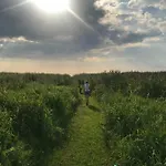 Campingplads Suurkivi Nature Escape *