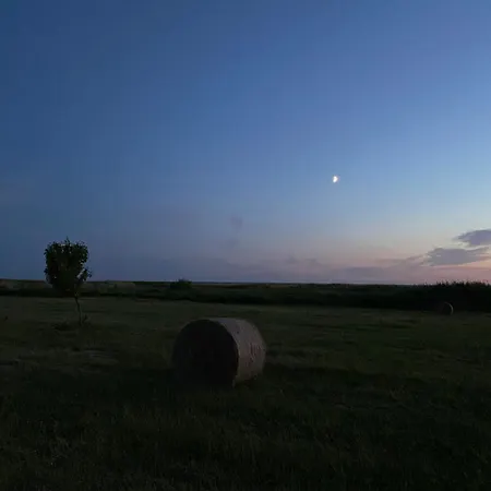 Suurkivi Nature Escape אתר קמפינג