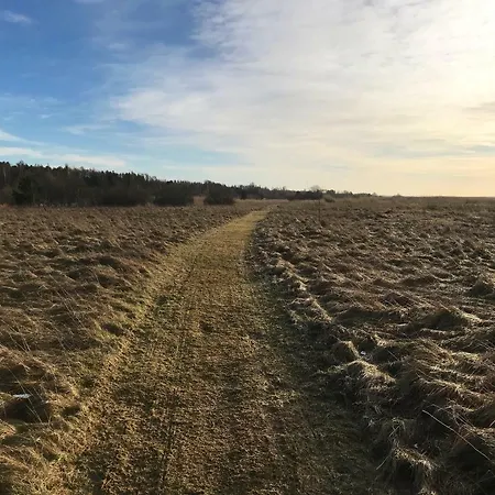 Suurkivi Nature Escape אתר קמפינג