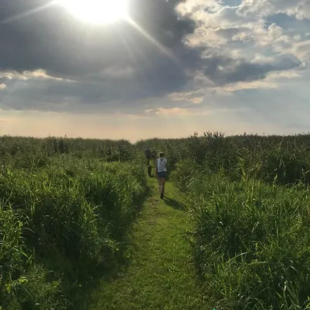 אתר קמפינג Suurkivi Nature Escape *