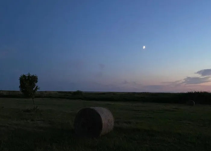 Suurkivi Nature Escape Кемпинг