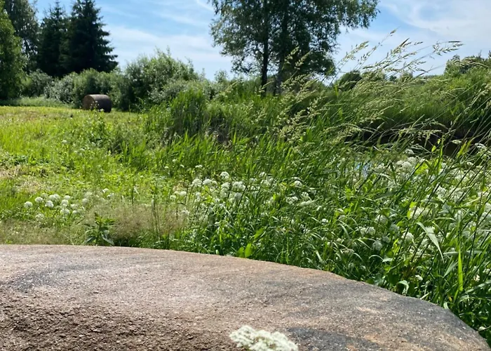 Suurkivi Nature Escape Кемпинг