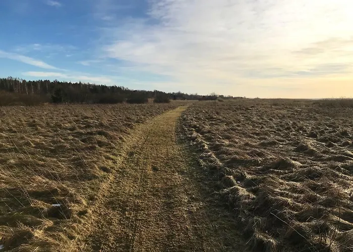 Suurkivi Nature Escape Кемпинг