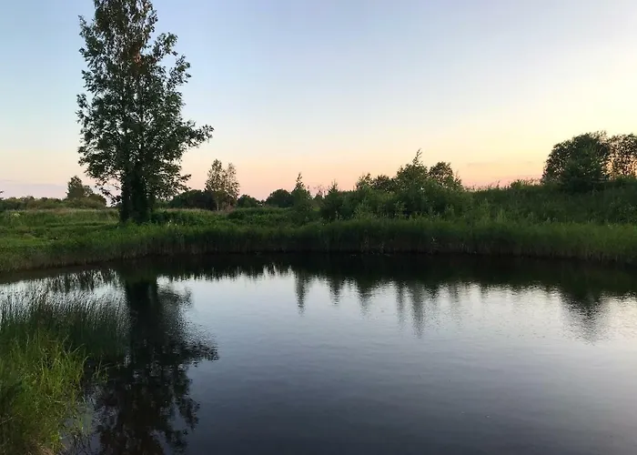 Suurkivi Nature Escape Кемпинг