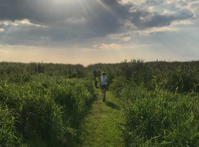Parque de Campismo Suurkivi Nature Escape *